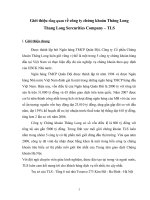 Phân tích hoạt động công ty chứng khoán Thăng Long