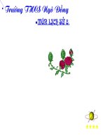 tiet37:cuoc k/c1858-1873(mai-toan-ngo dong)