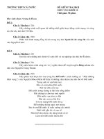 Đề kiểm tra HKII (khối 12)