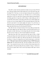 Đẩy mạnh công tác tiêu thụ sản phẩm tại Công ty TNHH Thương mại Hoàng Anh