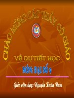 Toán 9 - Phương trinh bậc nhất 1 ẩn