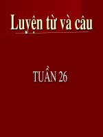 LT&C Lớp 3-Tuần 26