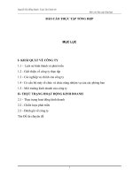 BÁO CÁO THỰC TẬP TỔNG HỢP CÔNG TY CHỨNG KHOÁN THĂNG LONG