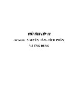 nguyen ham (chuan-2 cot)