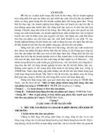 Một số giải pháp cơ bản nhằm góp phần đẩy mạnh quá trình tiêu thụ sản phẩm tại Công ty TNHH Đức Tuấn