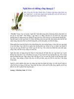 Nghệ đen có công dụng gì?