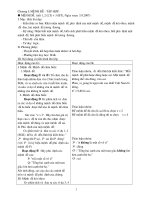 Giao an DAI SO 10 (co ban)