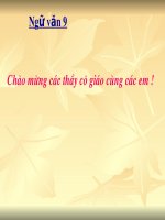 Tiet 37: Kieu o lau Ngung Bich