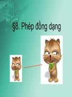 Bai 8 Phep dong dang