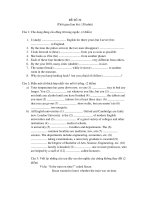 đề thi môn anh văn - đề 29