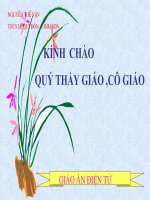 GAĐT THAO GIẢNG - ÔN TẬP CHƯƠNG II
