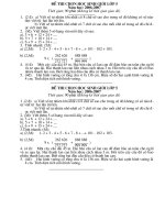 Đề thi HSG lớp 5