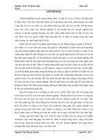 MỘT SỐ ĐÁNH GIÁ VỀ TÌNH HÌNH TỔ CHỨC HẠCH TOÁN KẾ TOÁN TẠI CÔNG TY INVITECH VIỆT NAM