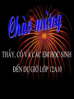 Mảnh Trăng Cuối Rừng T1 Cực Chuẩn