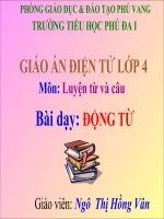 LT va cau: Dong tu