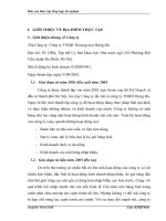 THỰC TRẠNG HOẠT ĐỘNG KINH DOANH CỦA CÔNG TY TNHH THƯƠNG MẠI HƯNG HÀ 