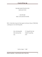 Hoàn thiện công tác kế toán nguyên vật liệu tại Công ty TNHH Dịch vụ thương mại và sản xuất Chung Đức