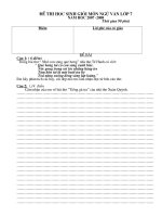 Đề thi học sinh giỏi Ngữ văn lớp 7