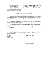 báo cáo số liệu thực trạng côngnghệ thông tin tại Sở Công Thương