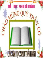 NGHIA TWNG MINH VÀ HÀM Ỹ