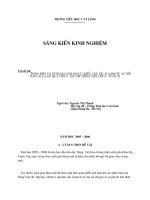 SKKN lop 4.PB 3 kieu cau.doc