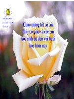 Phương trình đường thẳng