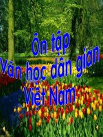 Ôn tập VHDG VN
