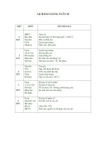 Bộ giáo án lớp 5 - Tuần 28