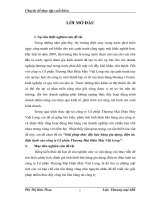 Giải pháp thúc đẩy bán hàng gia dụng, điện tử, điện lạnh của công ty Cổ phần Thương Mại Điện Máy Việt Long''