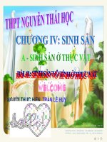 Bài 41. Sinh sản vô tính ở thực vật (dành cho học sinh lên trình bày