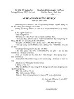 kế họach mở lớp tin học