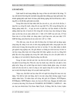 Marketing nhằm nâng cao năng lực cạnh tranh của công ty sơn Hóa Bách Khoa