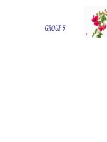 Traveling ảound Viet Nam