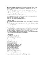 đề thi ngữ văn 9