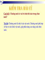 bài 45 nuôi dưỡng và chăm sóc...