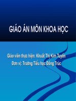 tiết kiệm và sử dụng diện an toàn