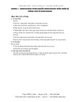 giáo án 11 chương 7