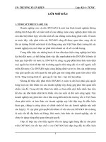 Giải pháp tín dụng ngân hàng nhằm phát triển DNV&N tại VP Bank