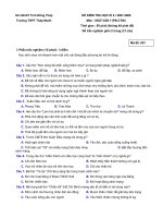 Đề kiểm tra Ngữ Văn 11- HKII