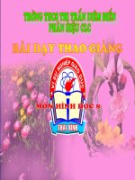 Tiết 29: Diện tích tam giác