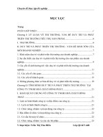 Một số giải pháp nhằm duy trì phát triển thị trường cho sản phẩm hoá chất của công ty TNHH Hoá chất Hồng Phát