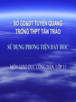 Sử dụng TBDH môn GDCD lớp 11