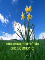 B22.7 Đề tài Cảnh đẹp đất nước