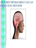 Điện thế hoạt động và truyền xung thần kinh