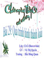 BÀI GIẢI NHẤT HỘI GIẢNG CỤM ĐÔNG HƯNG-BAI 29 HINH THANH LOAI CB