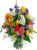 Tiết 25, 26: Đánh nhau với cối xay gió