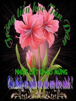 Từ ngữ về muông thú. Đặt và trả lời câu hỏi như thế nào ?