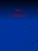 bài 18: tuần hoàn.NC