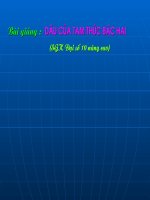 Dau tam thuc bac hai-01