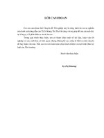 Đầu tư phát triển tại Công ty cổ phần Đầu tư Archi Invest. Thực trạng và giải pháp